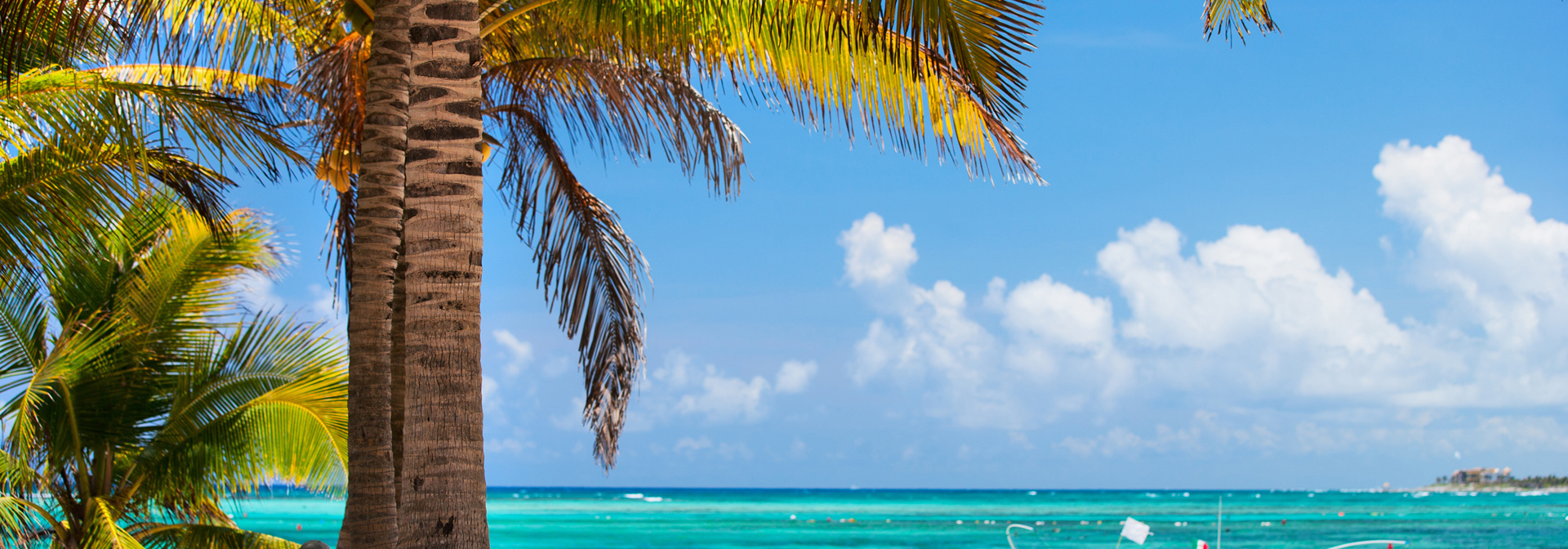 mexico - Akumal_strand_07