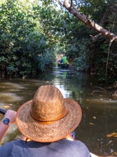 Kayak I Mangrove
