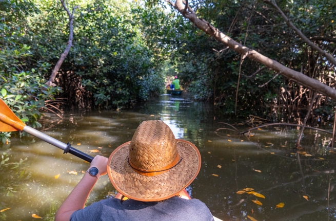 Kayak I Mangrove