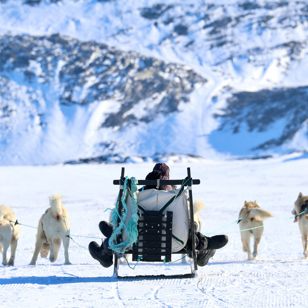 ... at tage jer med på denne tur