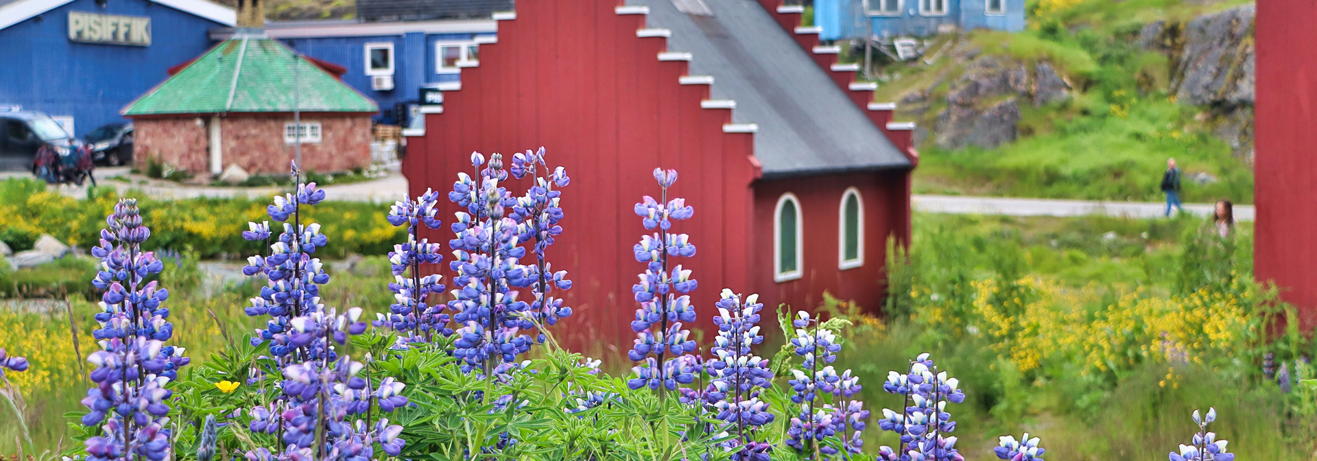 Qaqortoq Blomster As 1850039188