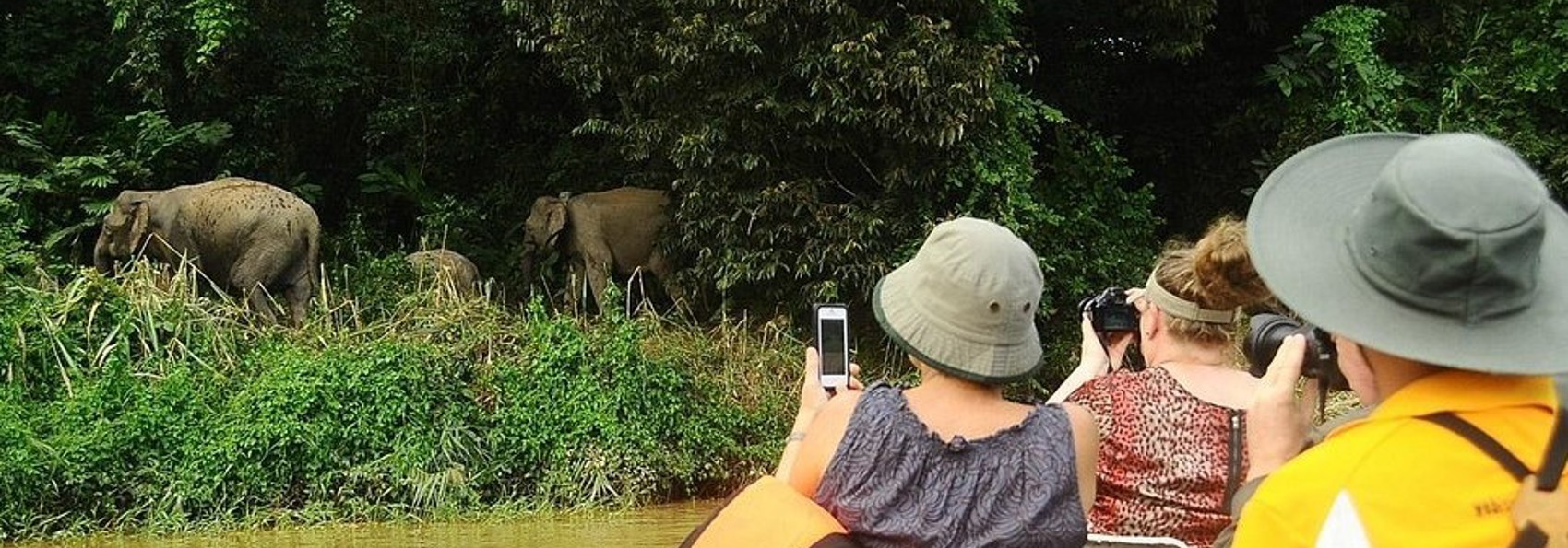 Sukau Greenview Lodge Flodtur 01