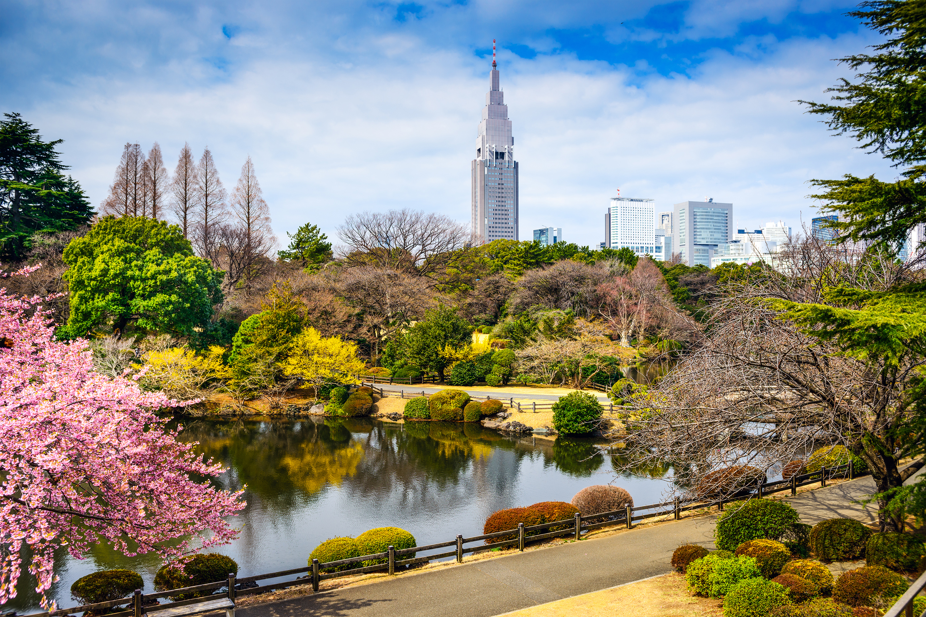 japan - tokyo_shinjuku park_01