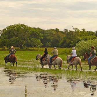 Horseback Riding