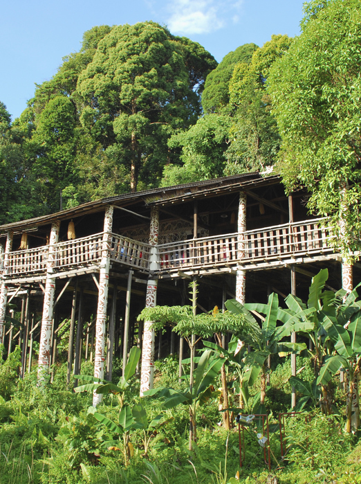 ibanstamme_langhus_04