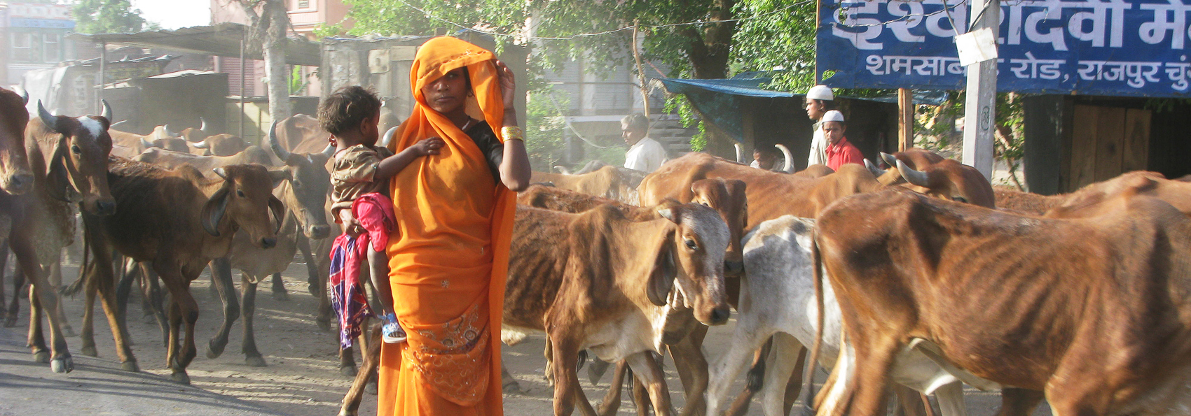 Indien - indien_befolkning_kvinde_01