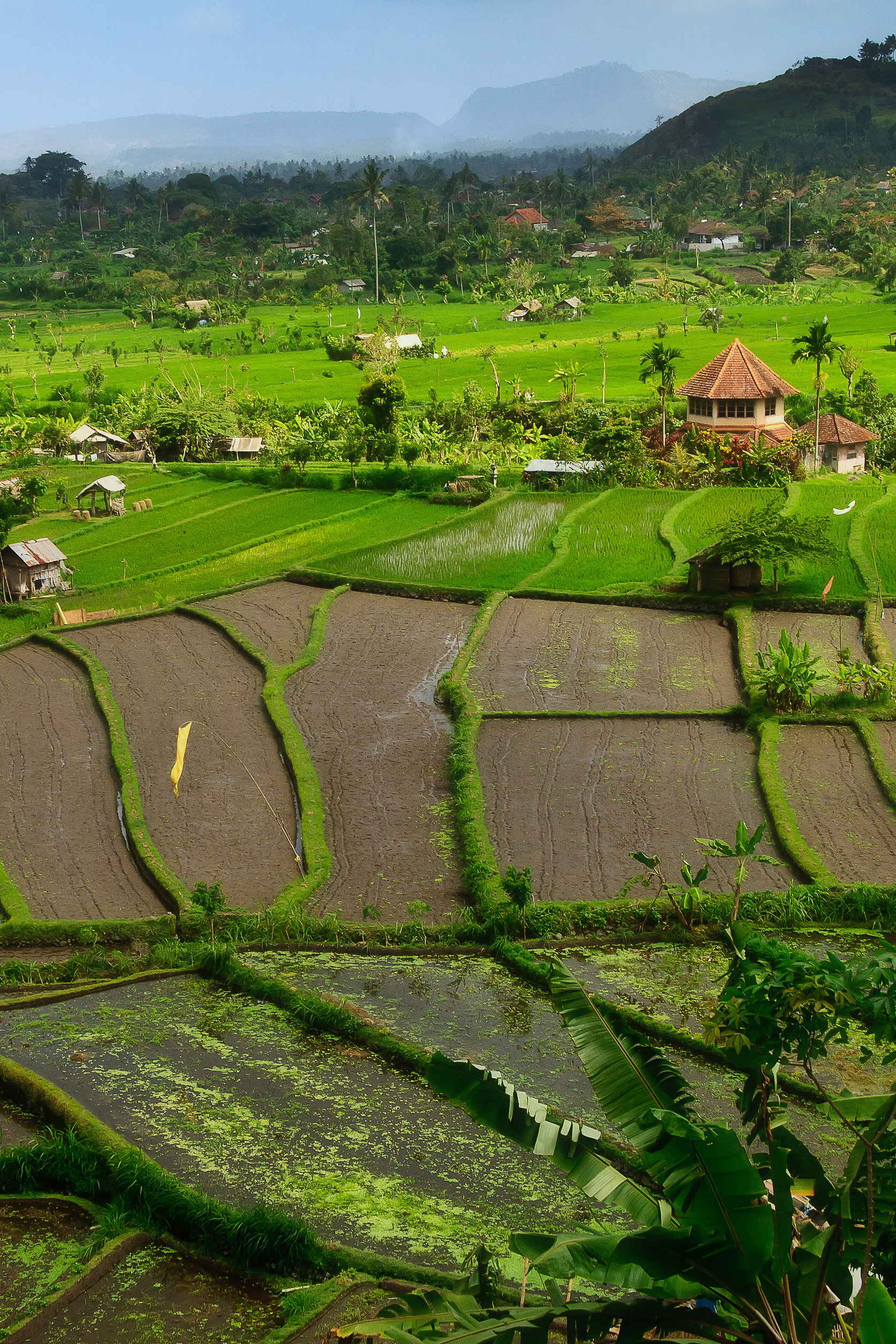 bali - candi dasa_landska_01_HF