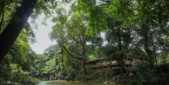 Nanga Sumpa Lodge Flod 01 (1)