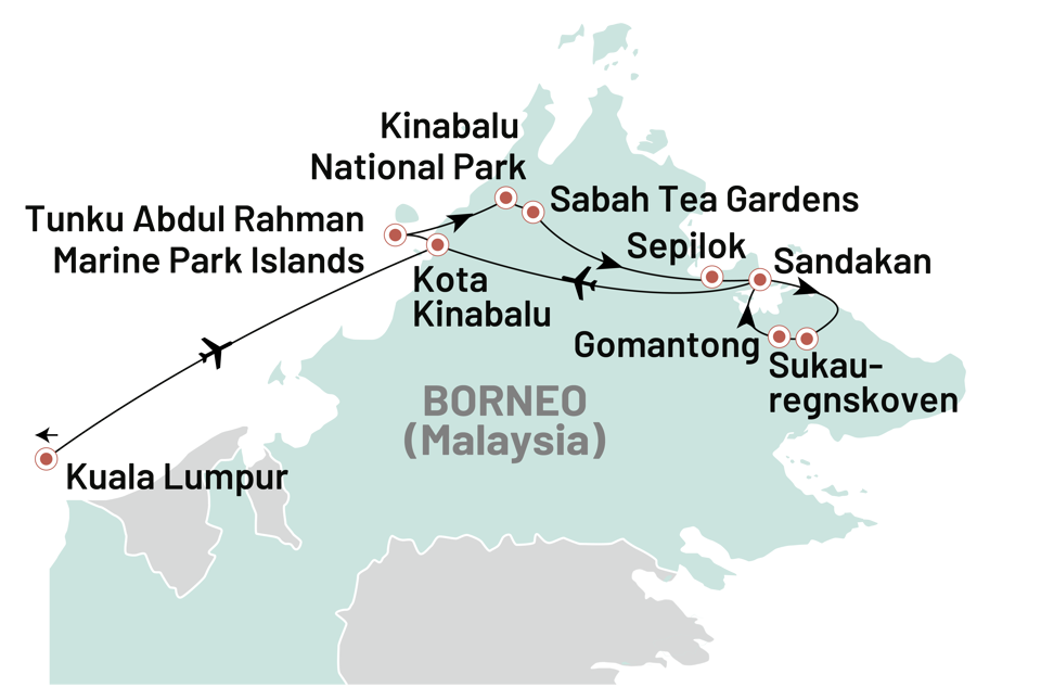 Borneo Ultimative Naturoplevelser 2025 (1)