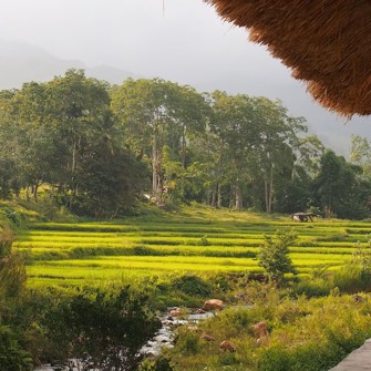 Udsigt Fra Lodgen Kelimutu Crater Lakes Ecolodge