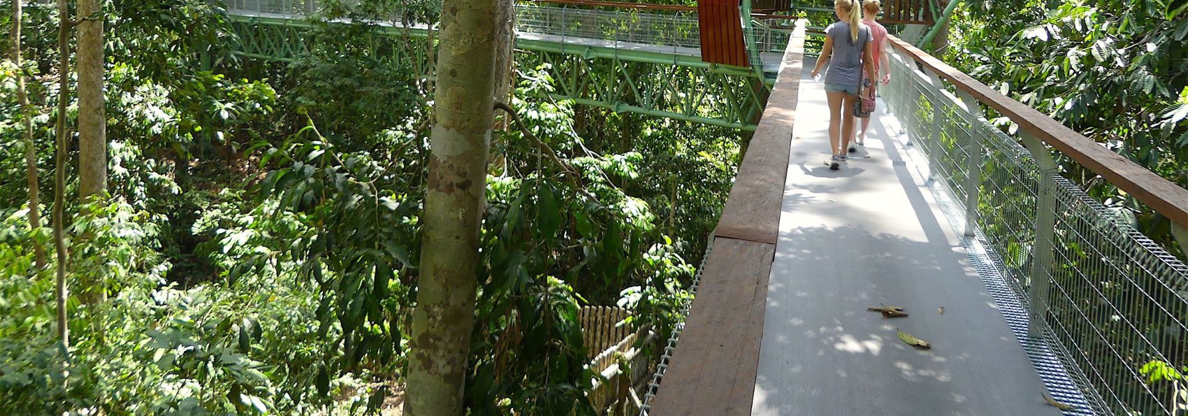 Sabah Sepilok Sunbear Center 01