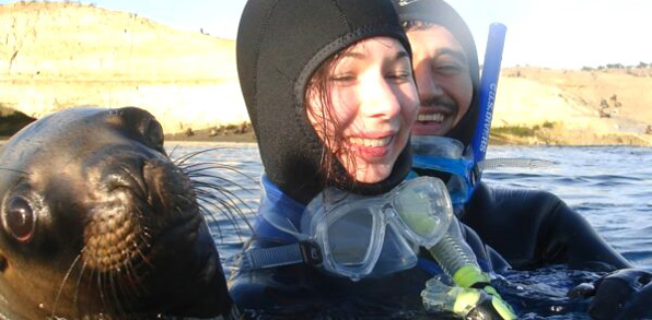 Snorkeltur med søløver.