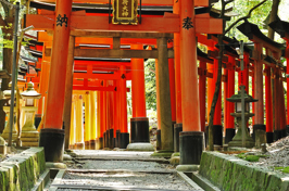 japan - kyoto_fushimi inari shrine_02_hf