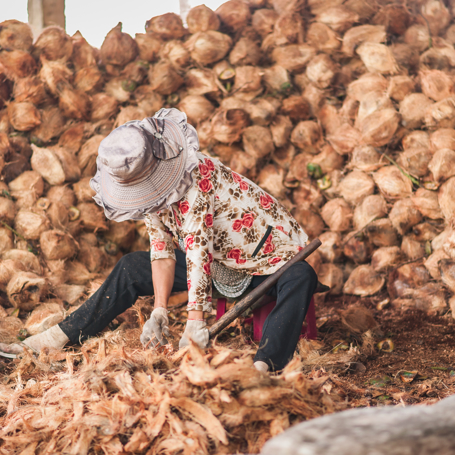 Vietnamesisk Kvinde Arbejder Med Coconut