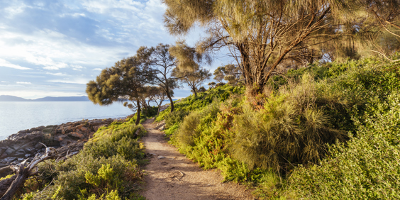 Tasmanien Freycinet Vandresti GT 1436395860