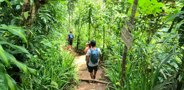 bali - Banyumala vandfald_08