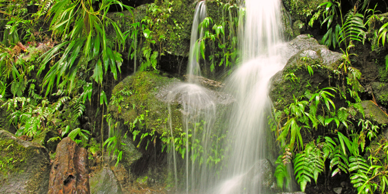 roseau_dominica_vandfald_02