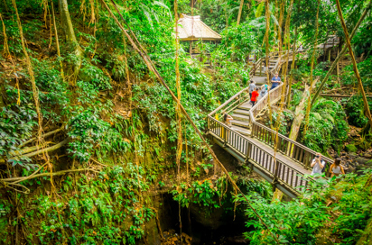 bali - ubud_monkey forrest_09