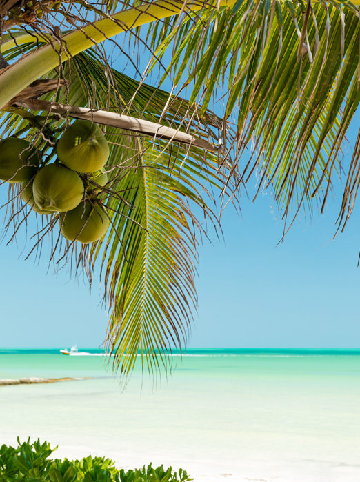 mexico - Mexico_Isla Holbox_beach_05