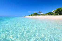 bali - barat national park_02