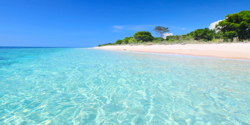 bali - barat national park_02