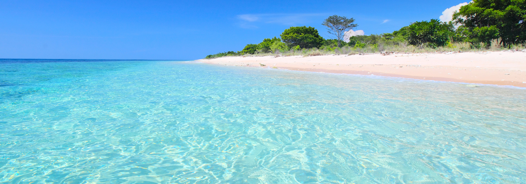 bali - barat national park_02