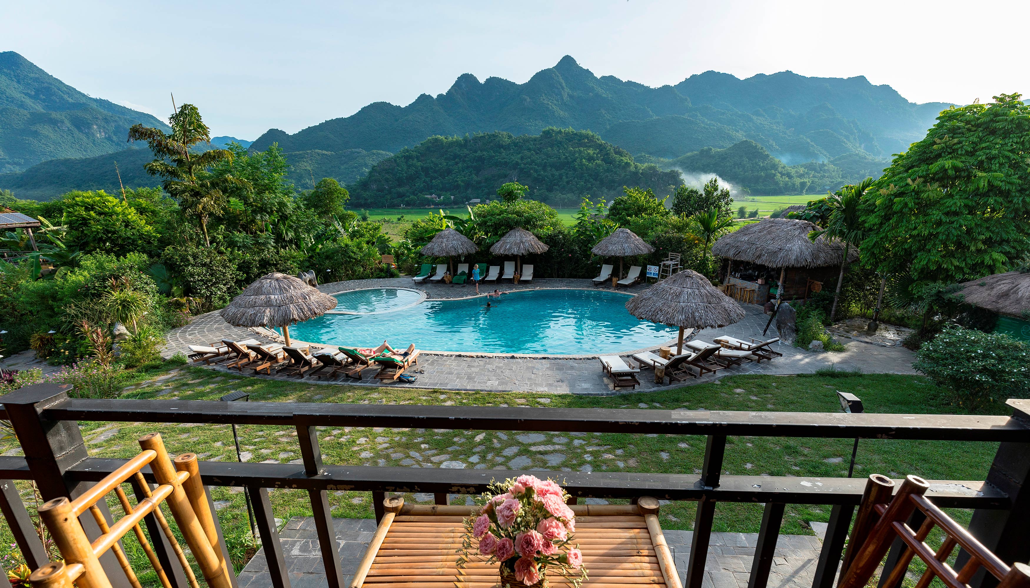 Pool And Landscape