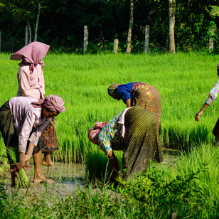 Alle steder ser vi de lokale midt i deres hverdag.