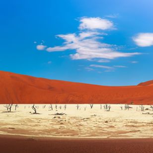 Tæt på Sossusvlei ligger Deadvlei - et surrealistisk og meget smukt landskab... 