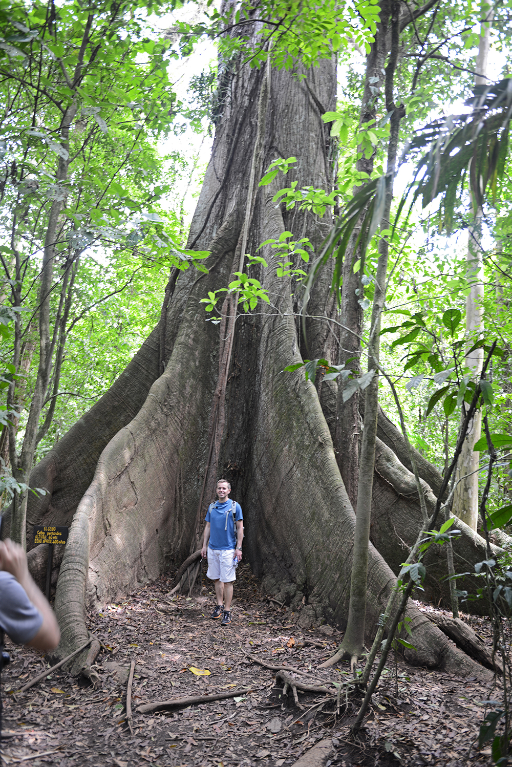 costa rica - la fortuna_arenal volcano national park_01_hf