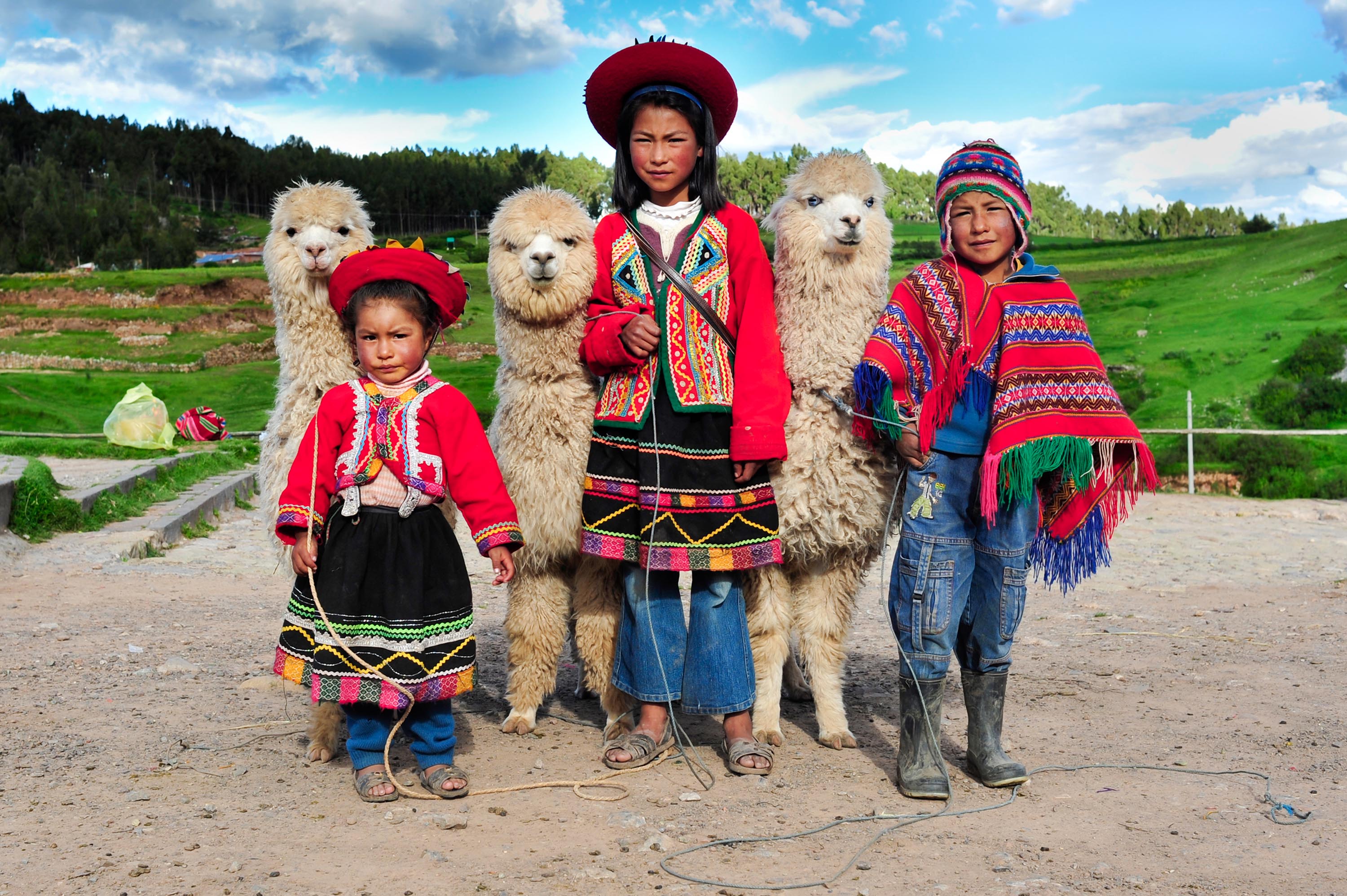 peru - cuzco_befokning_boern_lama_01