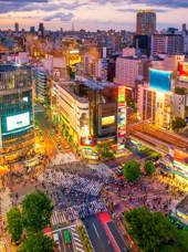 Shibuya Crossing Tokyo