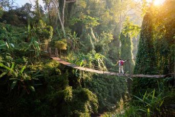 thailand - thailand_regnskov_02