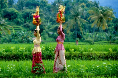 bali - bali rismark_kvinde_02