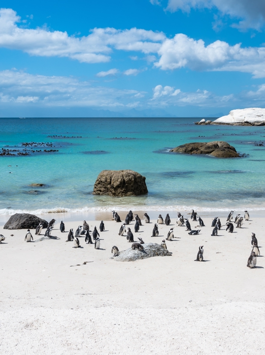 Bouldes Beach, Sydafrika