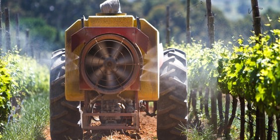 sydafrika - stellenbosch_vinmark_traktor_01