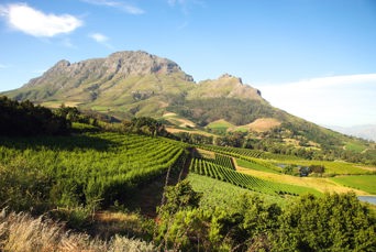 sydafrika - franschhoek_vinmark_01