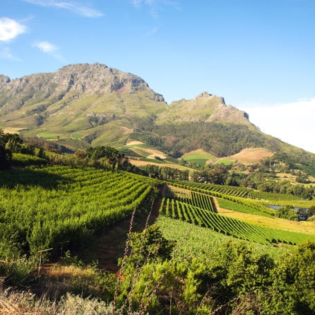 sydafrika - franschhoek_vinmark_01
