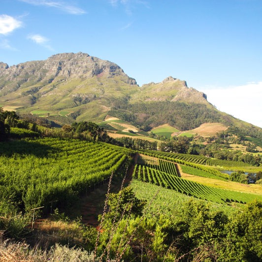 sydafrika - franschhoek_vinmark_01