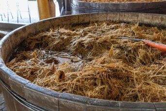 Oaxaca Agave Mezcal Destillery 2152843591