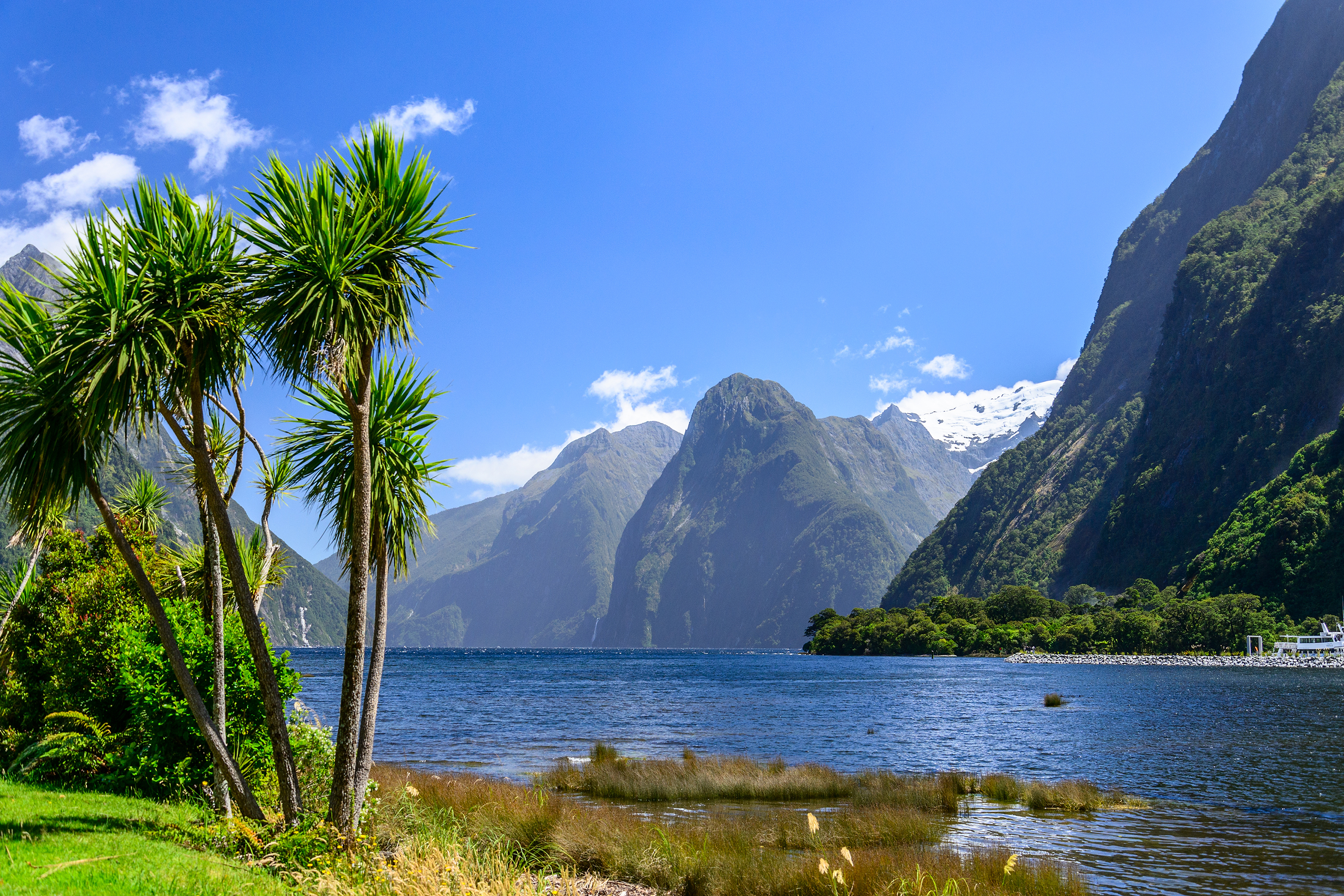 new zealand - milford sound_14