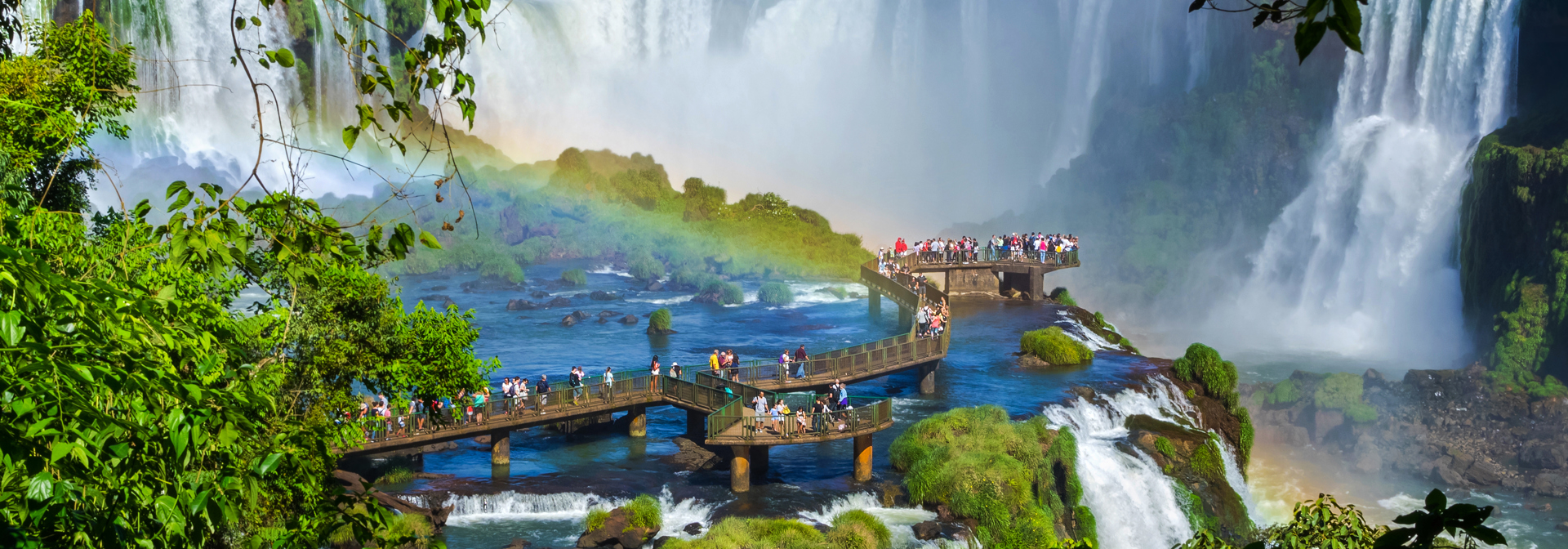 Shutterstock 316241720