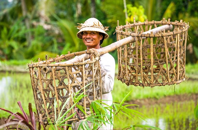 bali - bali_befolkning_mand_kurv_01_HF