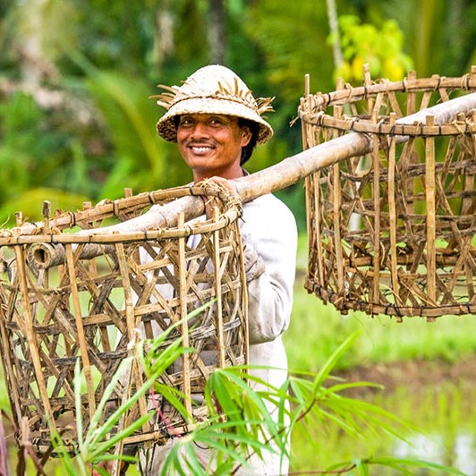 Oplev Balis landlige idyl