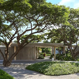 Indgang The Standard