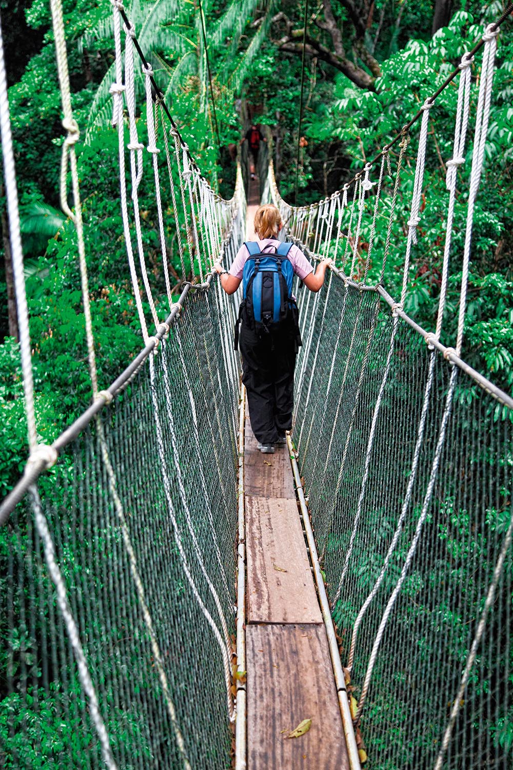 malaysia/borneo - taman negara national park_canopy bridge_01_hf