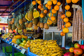 Hold ind og køb frisk frugt til køreturen