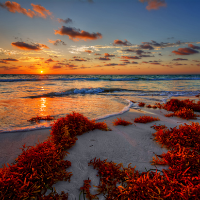 bali - vestbali_strand_01