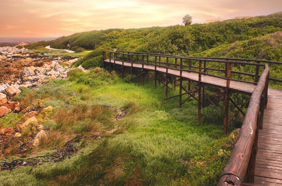 Hermanus Cliff Path