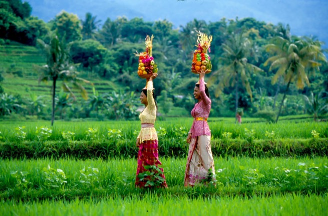 bali - bali_rismark_kvinde_01